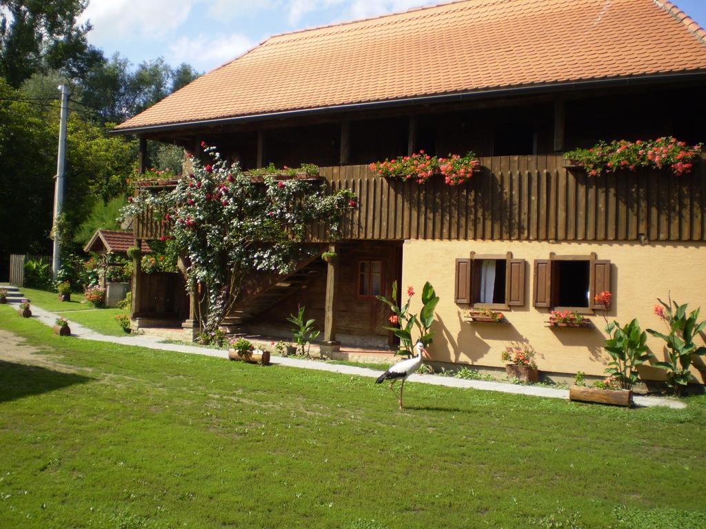Apartments Iza Na Trem Cigoc Luaran gambar