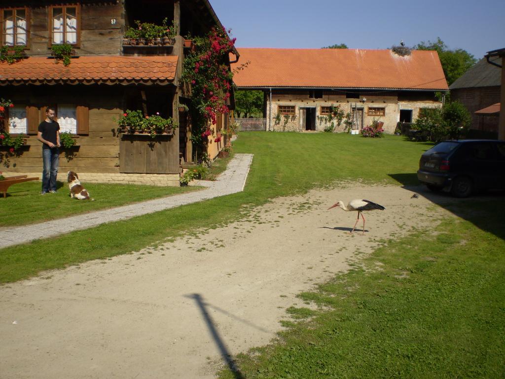 Apartments Iza Na Trem Cigoc Luaran gambar