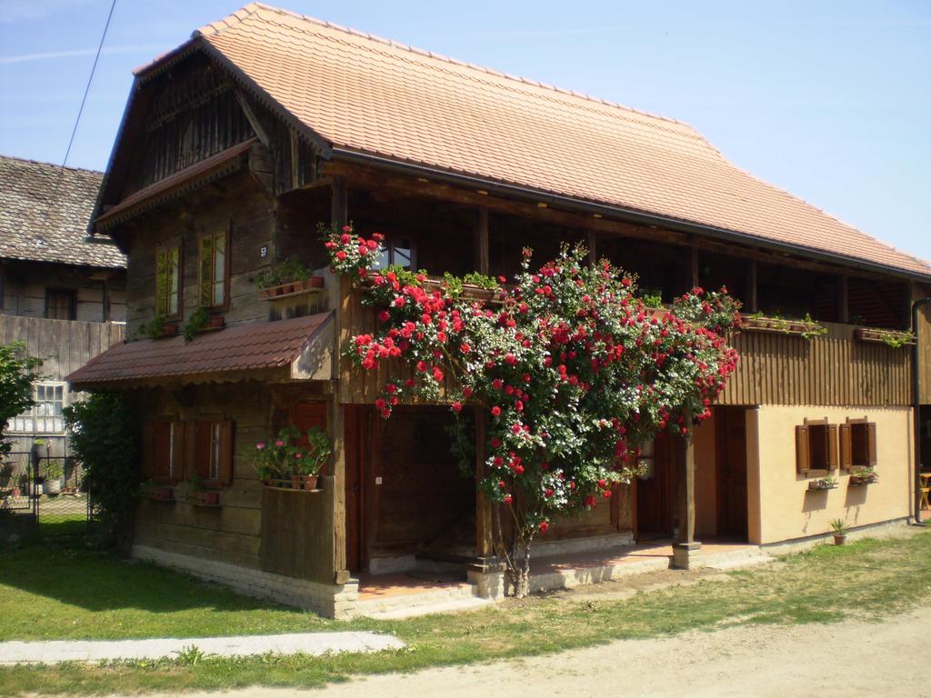 Apartments Iza Na Trem Cigoc Luaran gambar